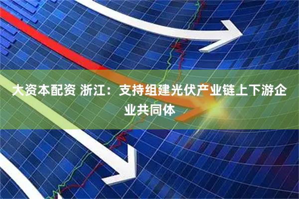 大资本配资 浙江：支持组建光伏产业链上下游企业共同体