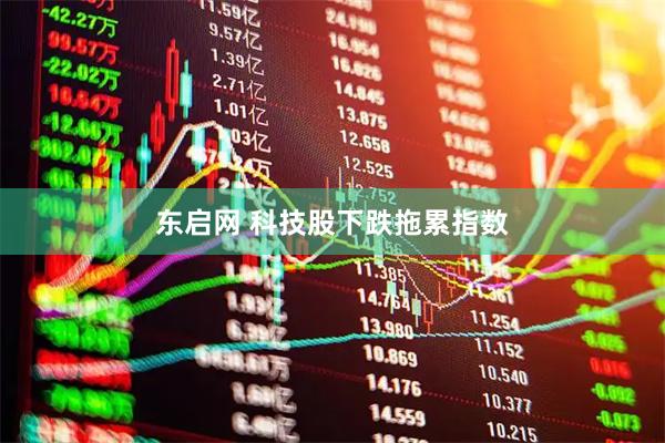 东启网 科技股下跌拖累指数