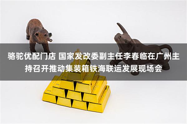骆驼优配门店 国家发改委副主任李春临在广州主持召开推动集装箱铁海联运发展现场会