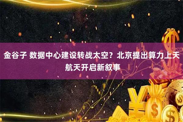 金谷子 数据中心建设转战太空？北京提出算力上天 航天开启新叙事