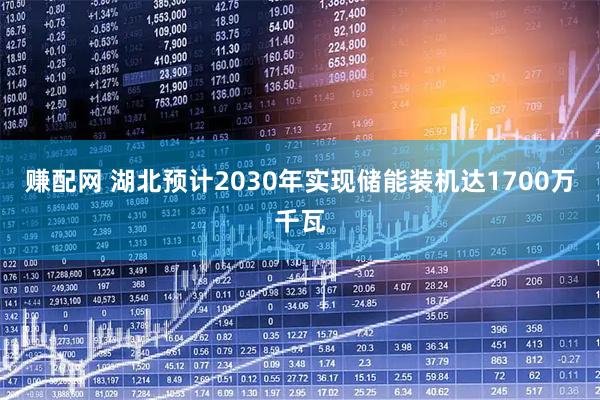 赚配网 湖北预计2030年实现储能装机达1700万千瓦