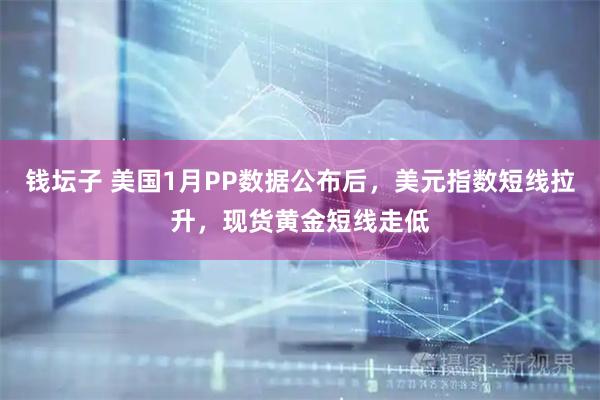 钱坛子 美国1月PP数据公布后，美元指数短线拉升，现货黄金短线走低