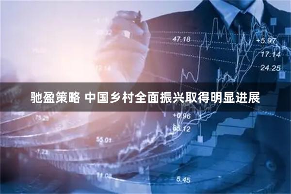驰盈策略 中国乡村全面振兴取得明显进展