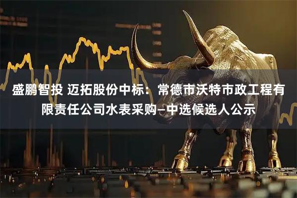 盛鹏智投 迈拓股份中标：常德市沃特市政工程有限责任公司水表采购—中选候选人公示